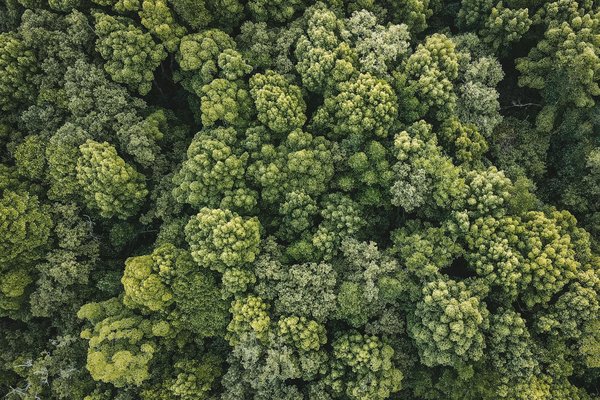 Stratégie marketing : clés pour réussir votre entreprise