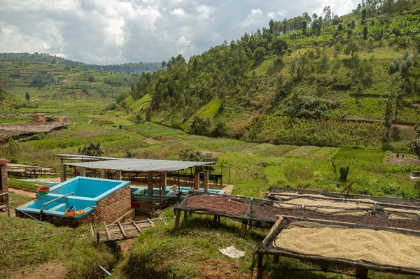 Quelles innovations technologiques sont à la pointe pour le recyclage des déchets électroniques ?