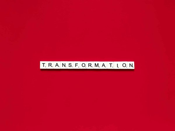 Quelle est la façon la plus efficace de transformer des terrains vacants en jardins communautaires ?